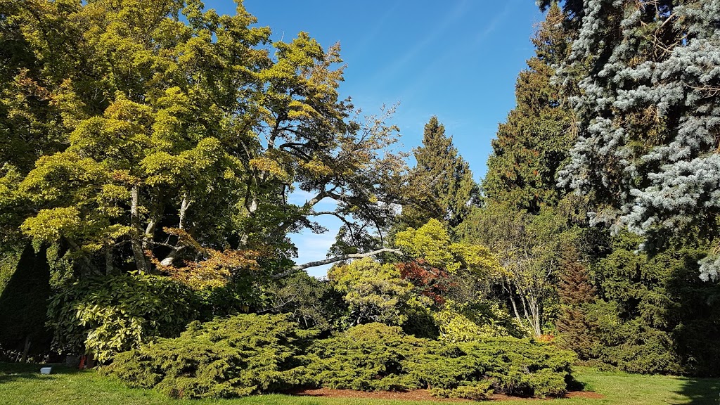 Dominion Brook Park | 8801 E Saanich Rd, North Saanich, BC V8L 1H3, Canada | Phone: (250) 656-0318