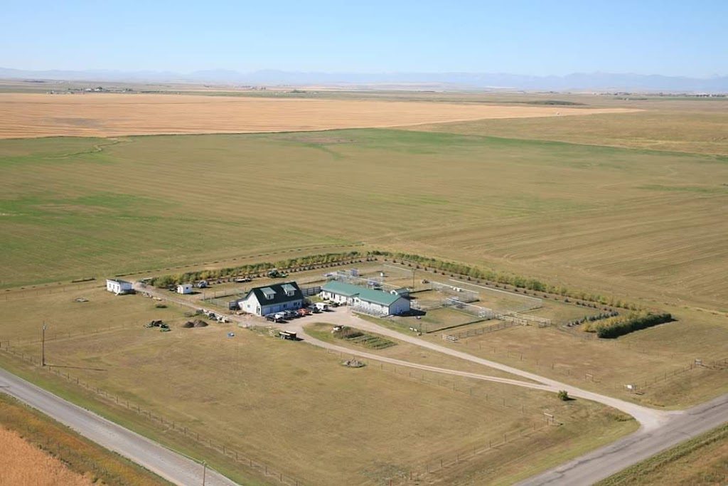 Room To Run Boarding Kennel | 56249 562 Ave E, Cayley, AB T0L 1P0, Canada | Phone: (403) 652-5002