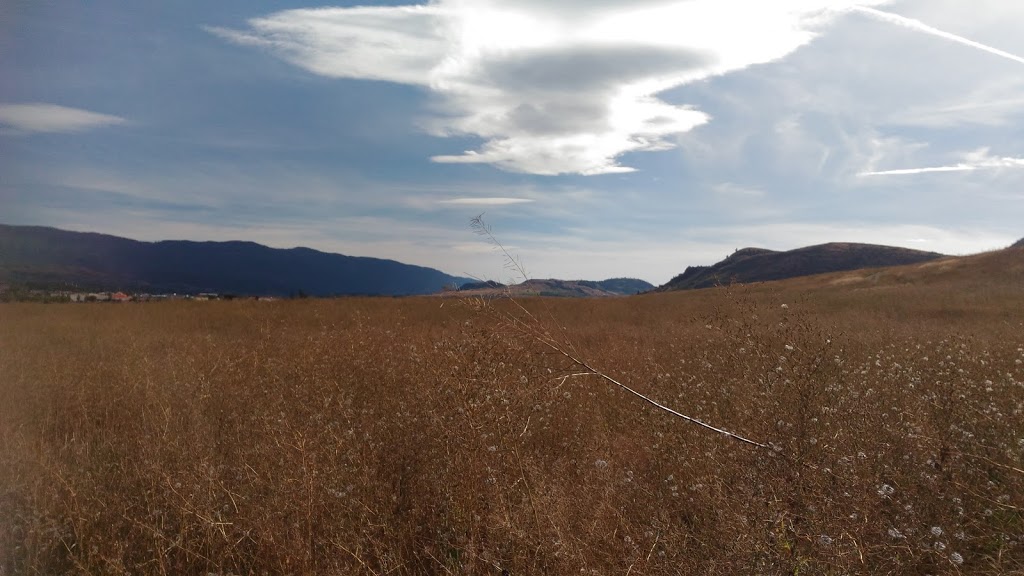 Headbones Gallery | 1P8, 6700 Old Kamloops Rd, Vernon, BC V1H 1P8, Canada | Phone: (250) 542-8987