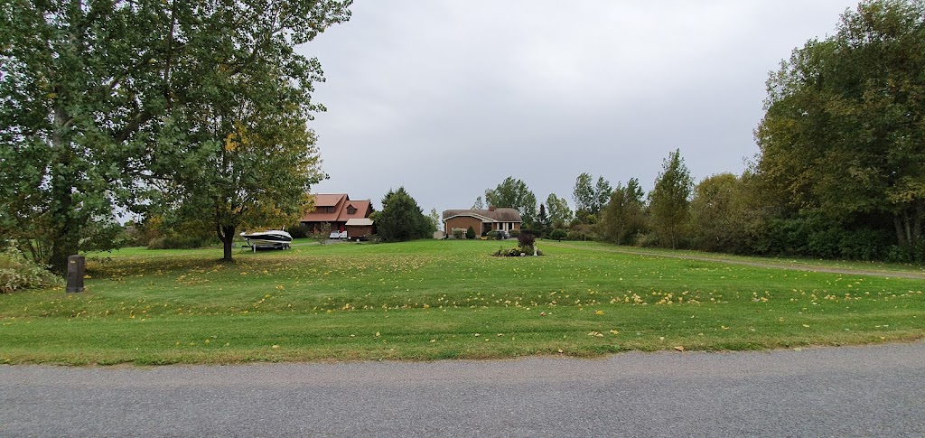 Blazing Saddles Farm | 433 County Rd 95, Wolfe Island, ON K0H 2Y0, Canada | Phone: (613) 572-5338