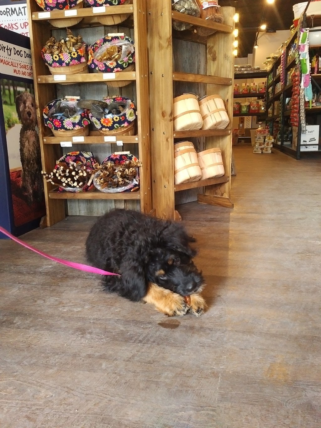 The Local Kibblery: Pet Emporium | 896 Eglinton Ave W, Toronto, ON M6C 2B6, Canada | Phone: (416) 901-3647