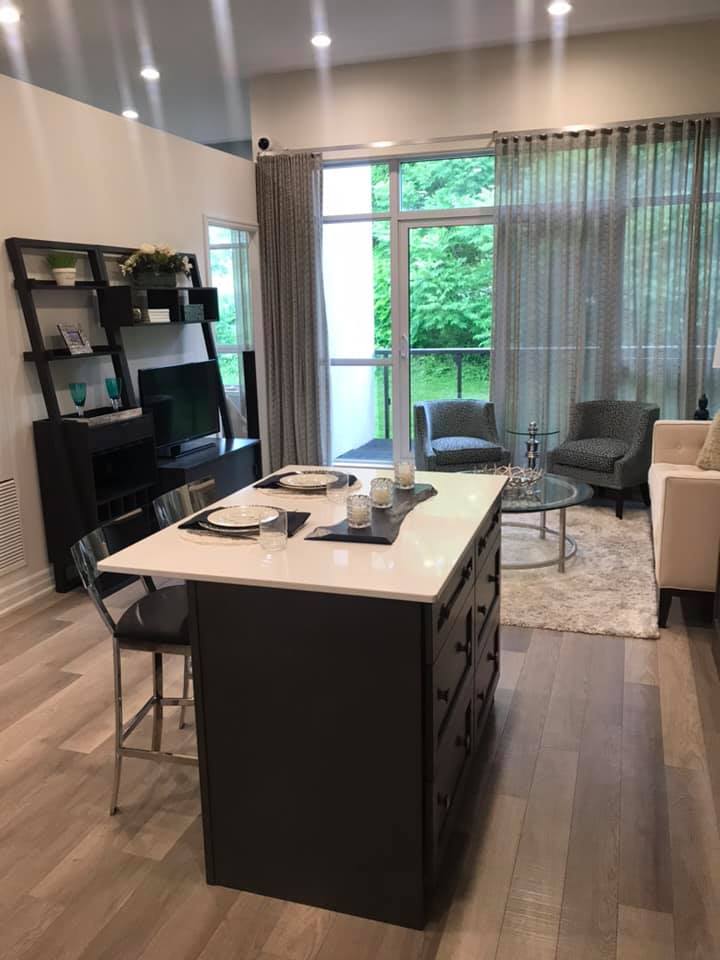 Ikram Faried - Realtor | Niagara Trail, Georgetown, ON L7G 0H9, Canada | Phone: (647) 535-2924