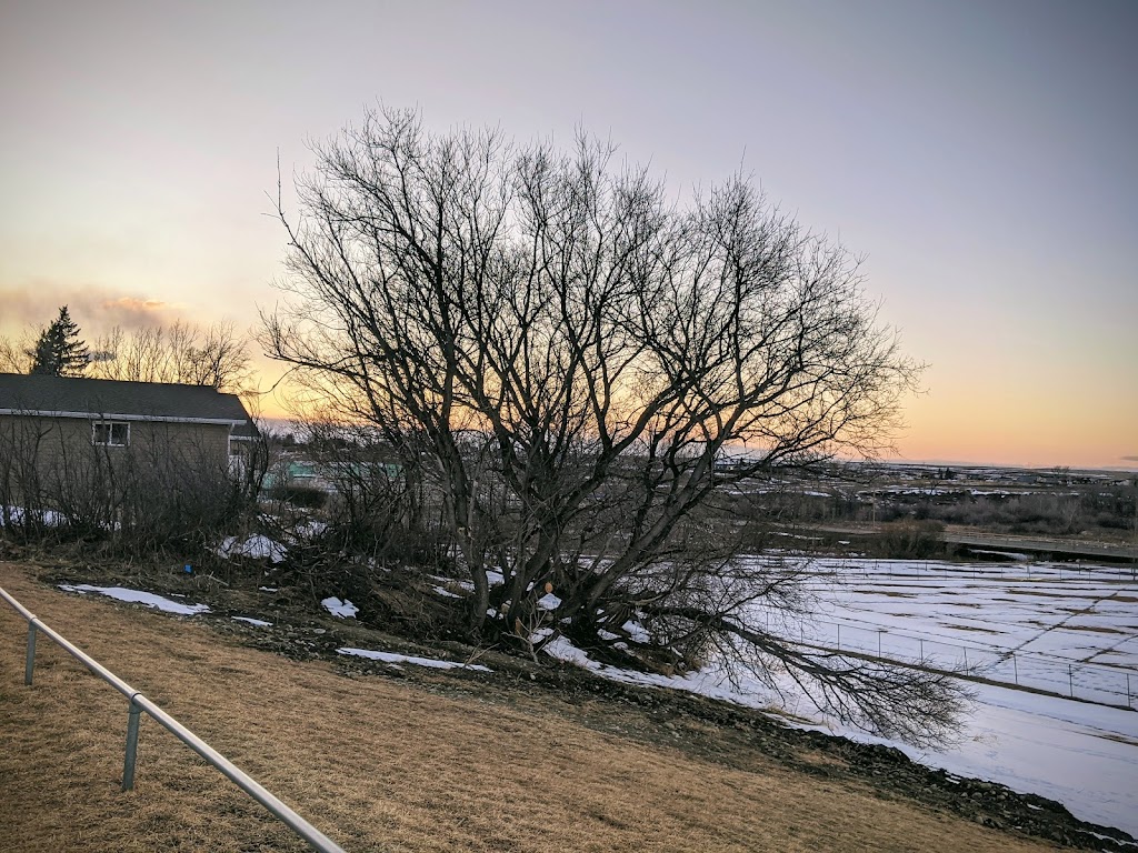 Redford Park | 2 Ave E, Cardston, AB T0K 0K0, Canada | Phone: (403) 653-3366