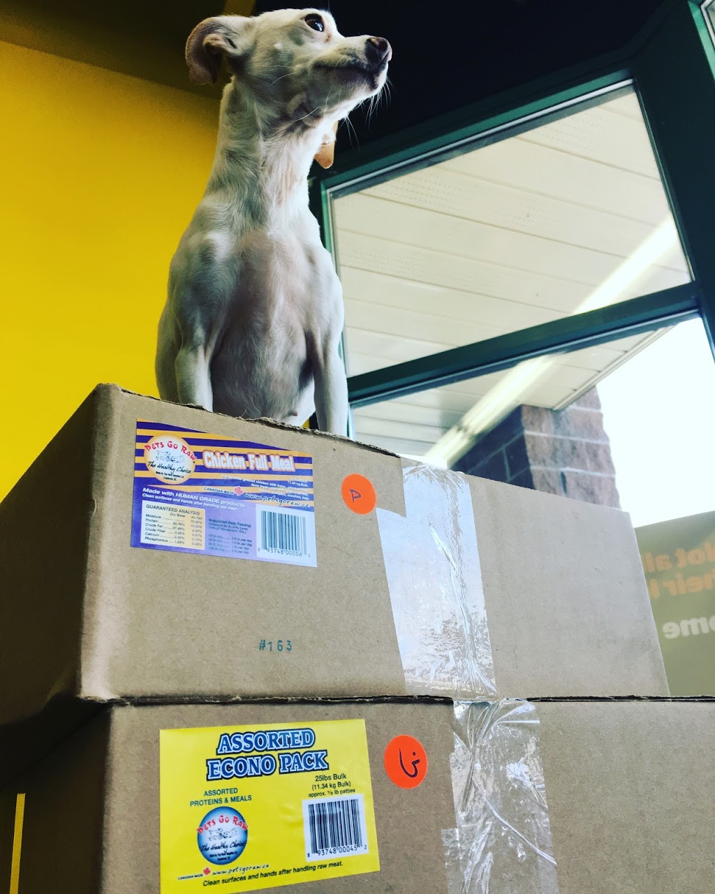 Luckys Pet Supply | 104-2100 Main St, Penticton, BC V2A 5H7, Canada | Phone: (250) 493-3647