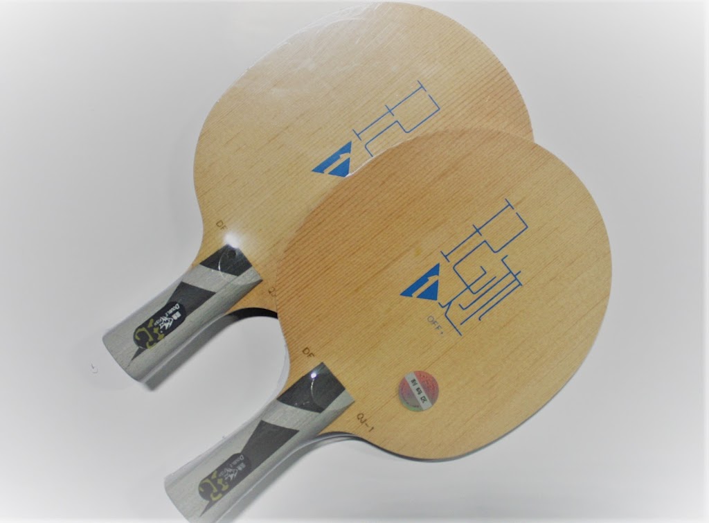 My Table Tennis Club Waterloo | 259 Gage Ave, Kitchener, ON N2M 2C9, Canada | Phone: (519) 578-8668