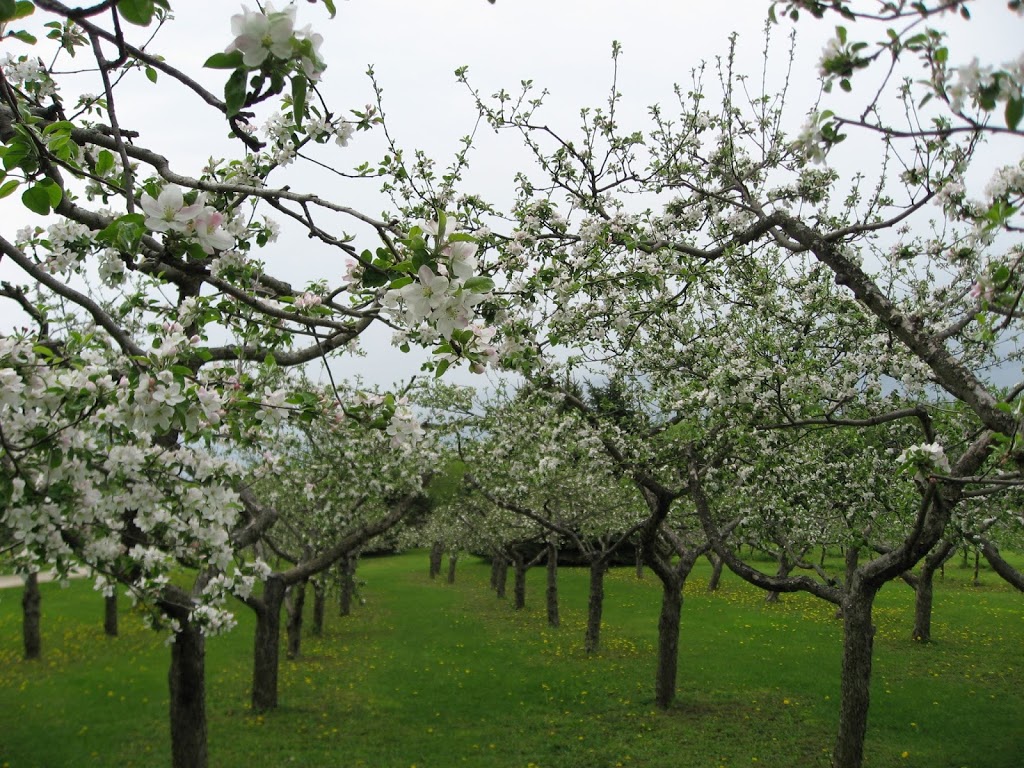 Cox Creek Cellars Inc | 7687 Wellington 22, Guelph, ON N1H 6J2, Canada | Phone: (519) 767-3253
