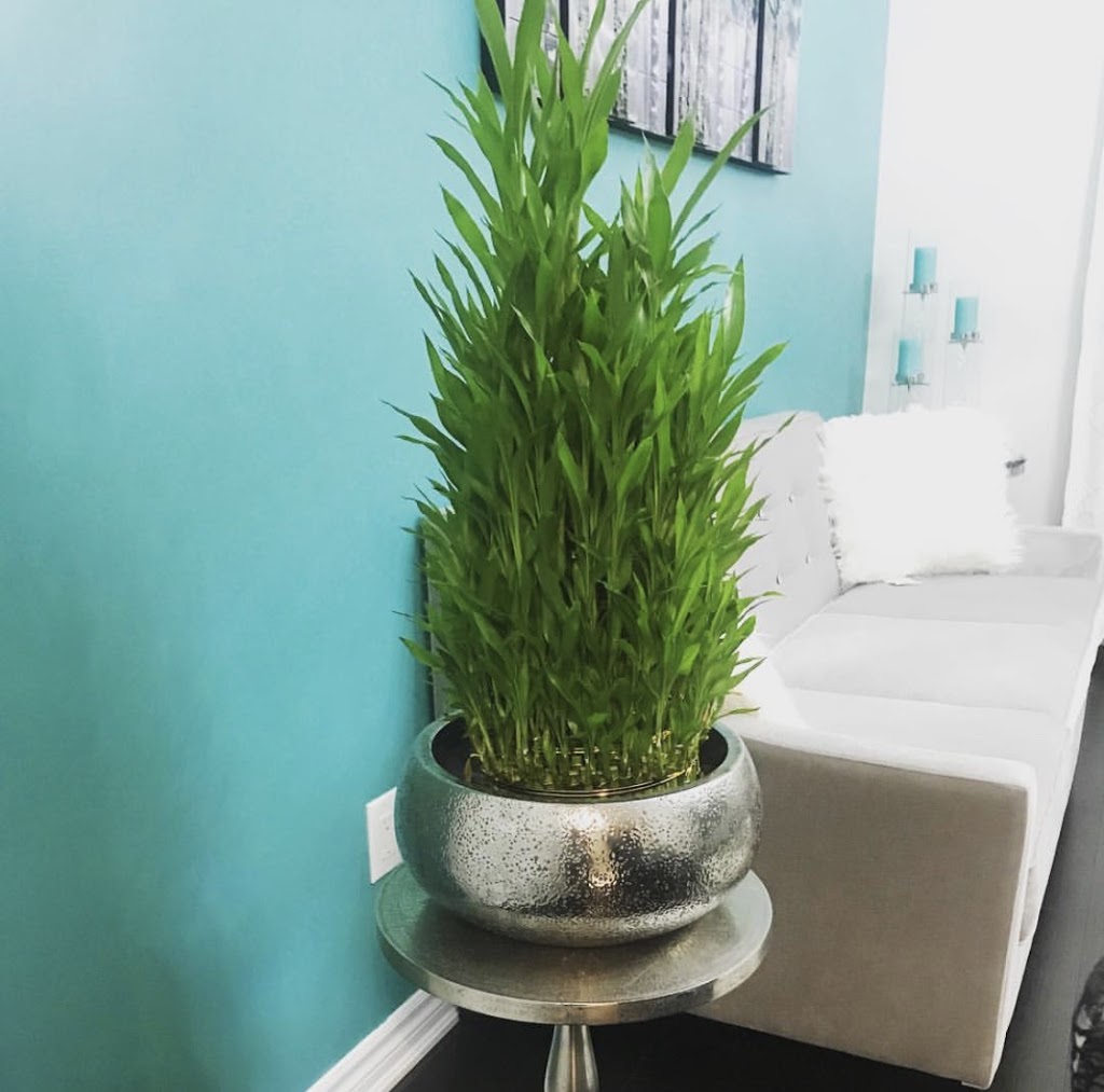Geoponics Inc. | Indoor Plants Shop | 7125 Pacific Cir, Mississauga, ON L5T 2A5, Canada | Phone: (905) 795-2456