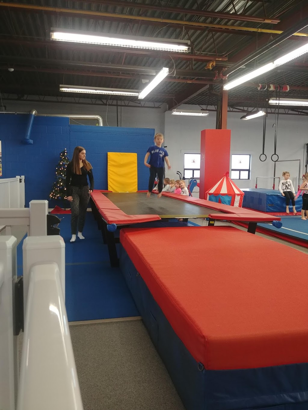 CARTWHEELS GYM CENTRE | 12 Armstrong Ave, Georgetown, ON L7G 4R9, Canada | Phone: (905) 702-9904