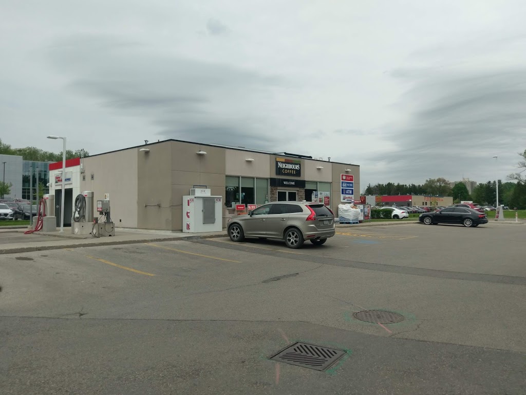 Neighbours Coffee | 491 Oxford St W, London, ON N6H 5G5, Canada