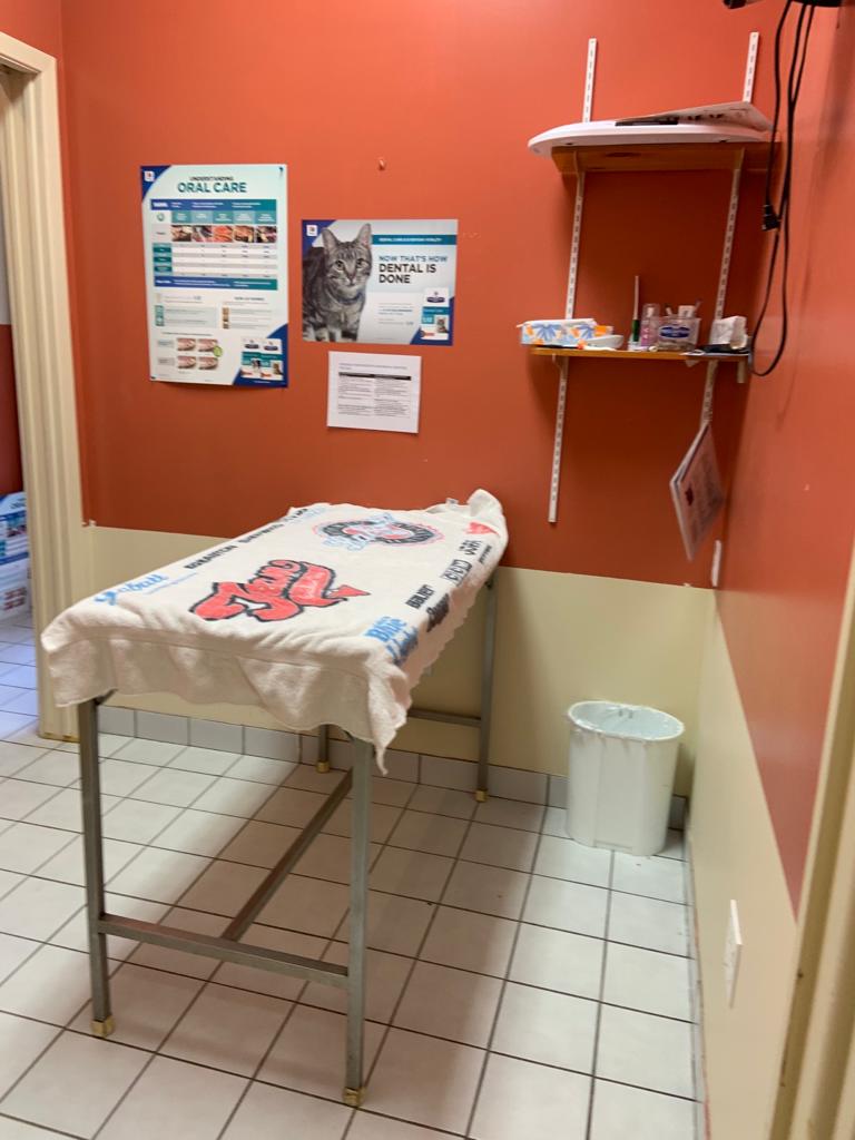 North Wellington Animal Hospital | 248 Main St S, Mount Forest, ON N0G 2L2, Canada | Phone: (519) 323-2060