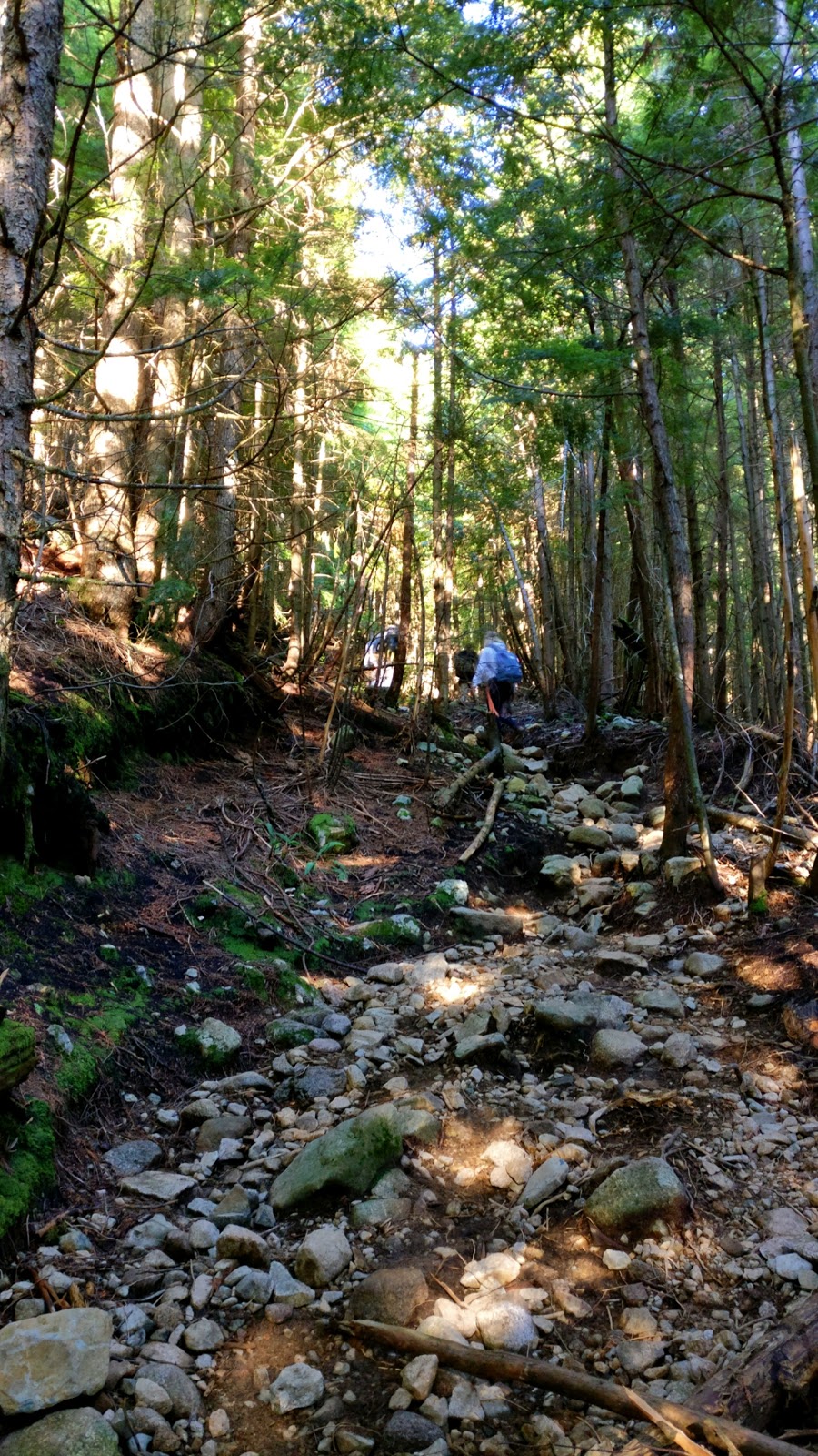 Lynn Peak | North Vancouver, BC V7K 3B2, Canada
