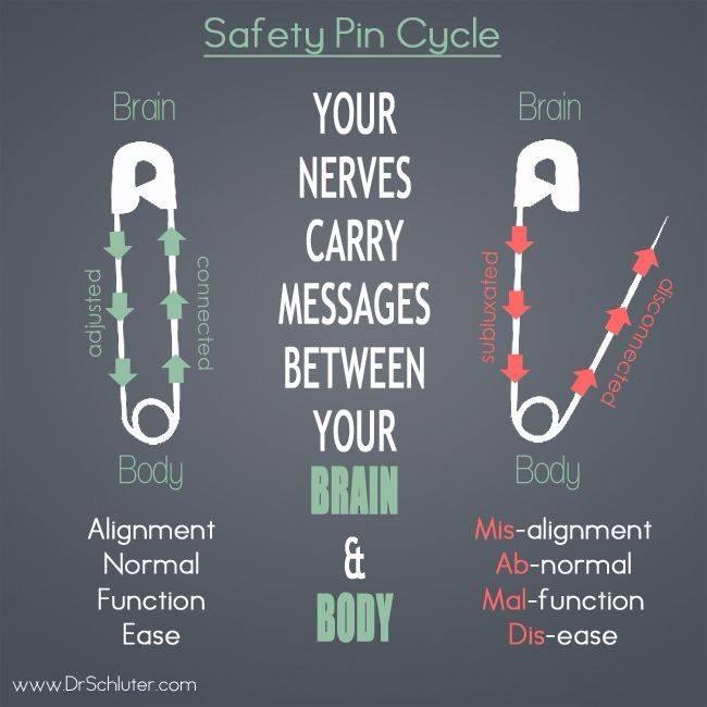 West Edmonton Family Chiropractic Studio | 9670 142 Street #203, Edmonton, AB T5N 4B2, Canada | Phone: (780) 484-2272