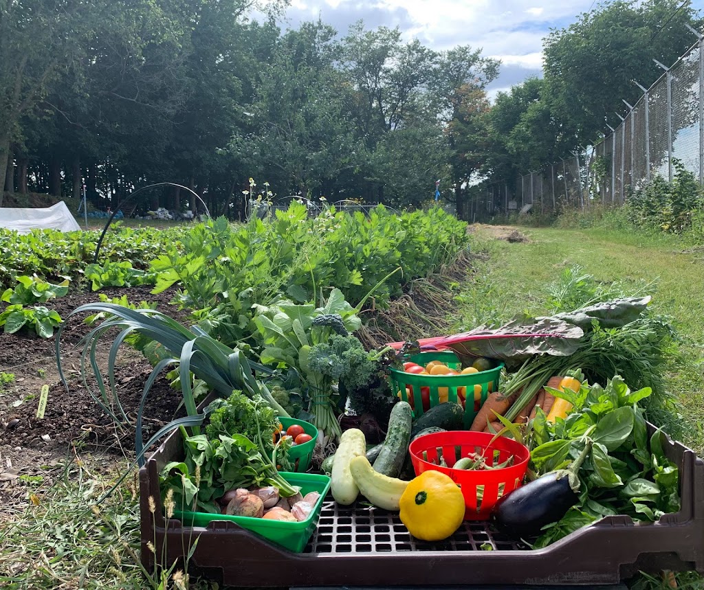 Ateliers à la Terre Garden | Accès derrière le cabanon au fond du stationnement, 2400 Av. DEstimauville, Québec, QC G1E 6W2, Canada | Phone: (418) 523-4580