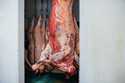 Lester’s Butchering & Processing | 3901 Rowe Rd, Duncan, BC V9L 6T1, Canada | Phone: (250) 746-6507