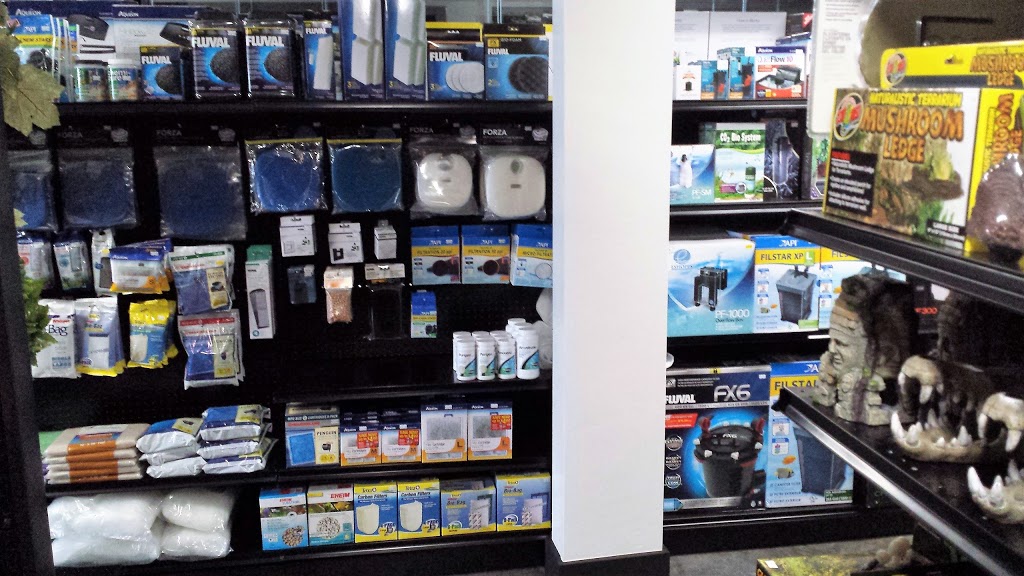 Oasis Fish & Reptile Ltd. | 8 Riel Dr #6, St. Albert, AB T8N 3Z7, Canada | Phone: (780) 458-0039