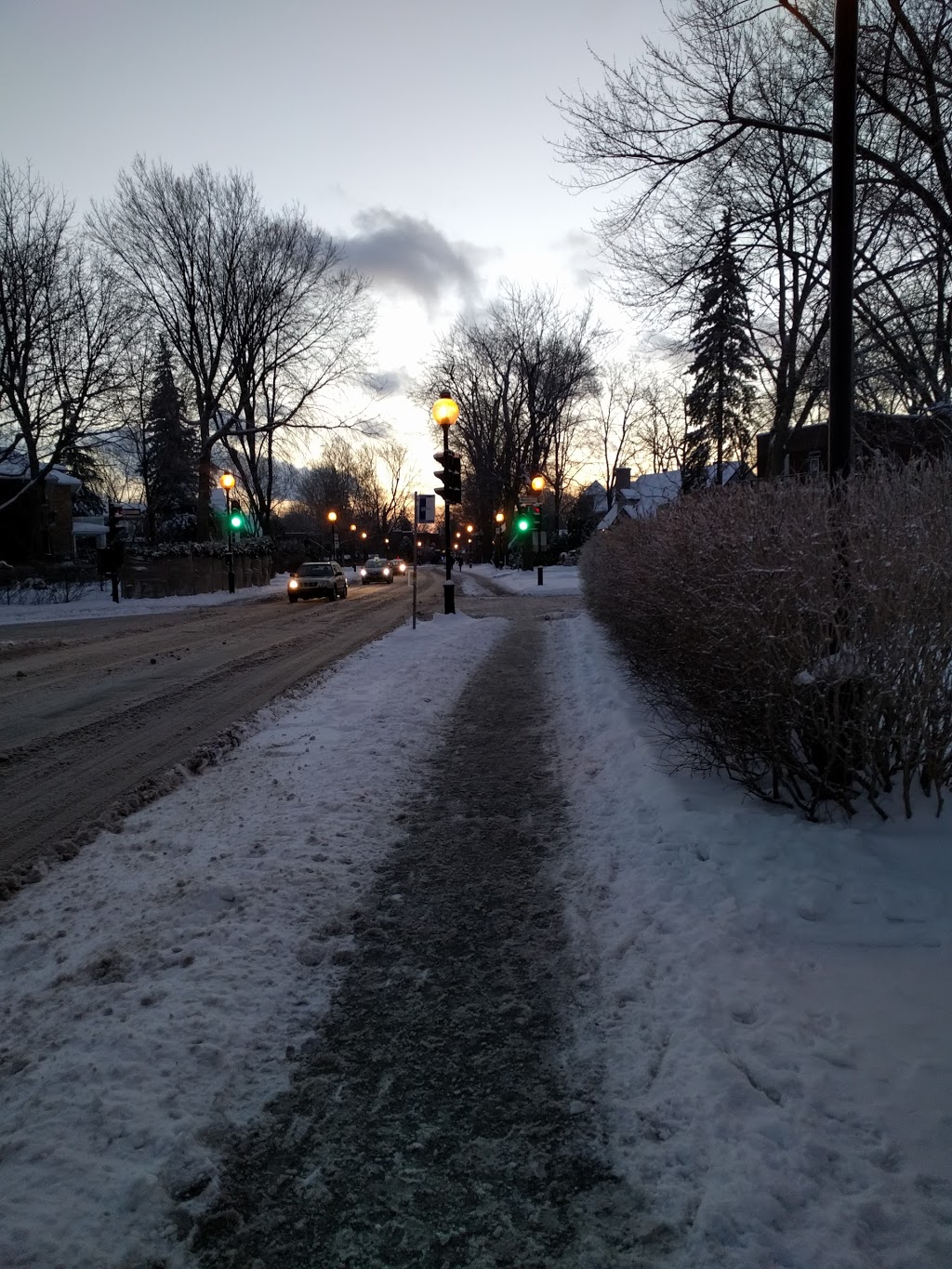 Parc Nicolas-Viel | Montreal, QC H3L 1H9, Canada | Phone: (514) 872-1140