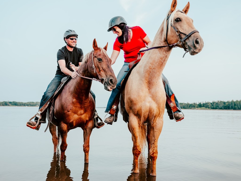 Lakeside Trail Rides | 760 Lakeside Rd, Morell, PE C0A 1S0, Canada | Phone: (902) 652-2396