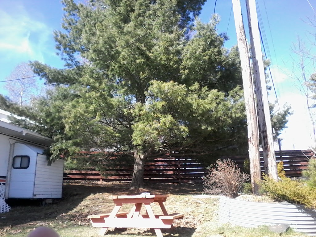 5 Fish Resort | 25 Whip Poor Will Rd, Alban, ON P0M 1A0, Canada | Phone: (705) 822-4428