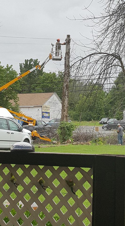 Nicholls Tree and Lawn Service Inc | 6109 Heritage Park Crescent, Orléans, ON K1C 7G8, Canada | Phone: (613) 882-3873