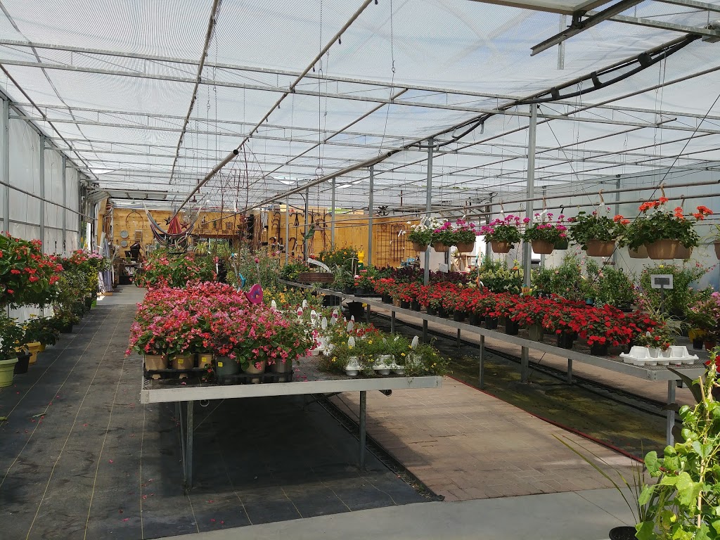 Baltimore Valley Nursery/Garden Centre | 5599 45, Baltimore, ON K0K 1C0, Canada | Phone: (905) 372-2662