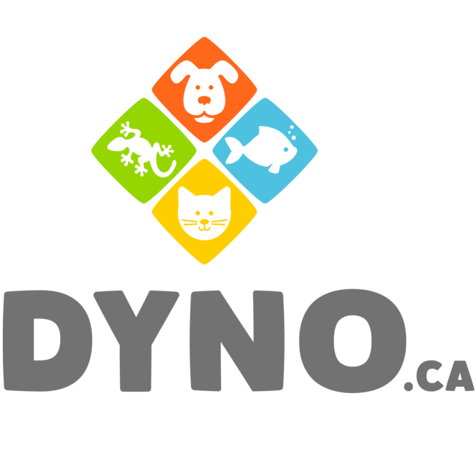 Animalerie Dyno | 79-A Rte du Président Kennedy, Lévis, QC G6V 6C8, Canada | Phone: (418) 833-2550