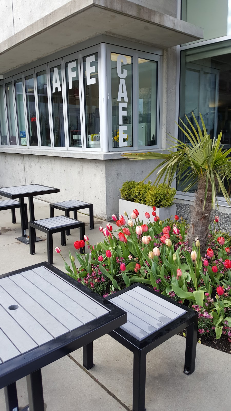 Sources Connection Café & Catering | 14601 20 Ave, Surrey, BC V4A 8P7, Canada | Phone: (604) 541-4823