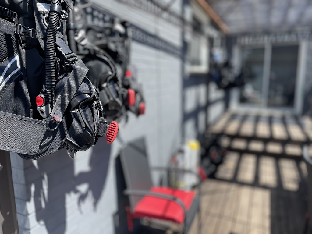 double down divers | 88 Yonge St N, Elmvale, ON L0L 1P0, Canada | Phone: (705) 826-3696