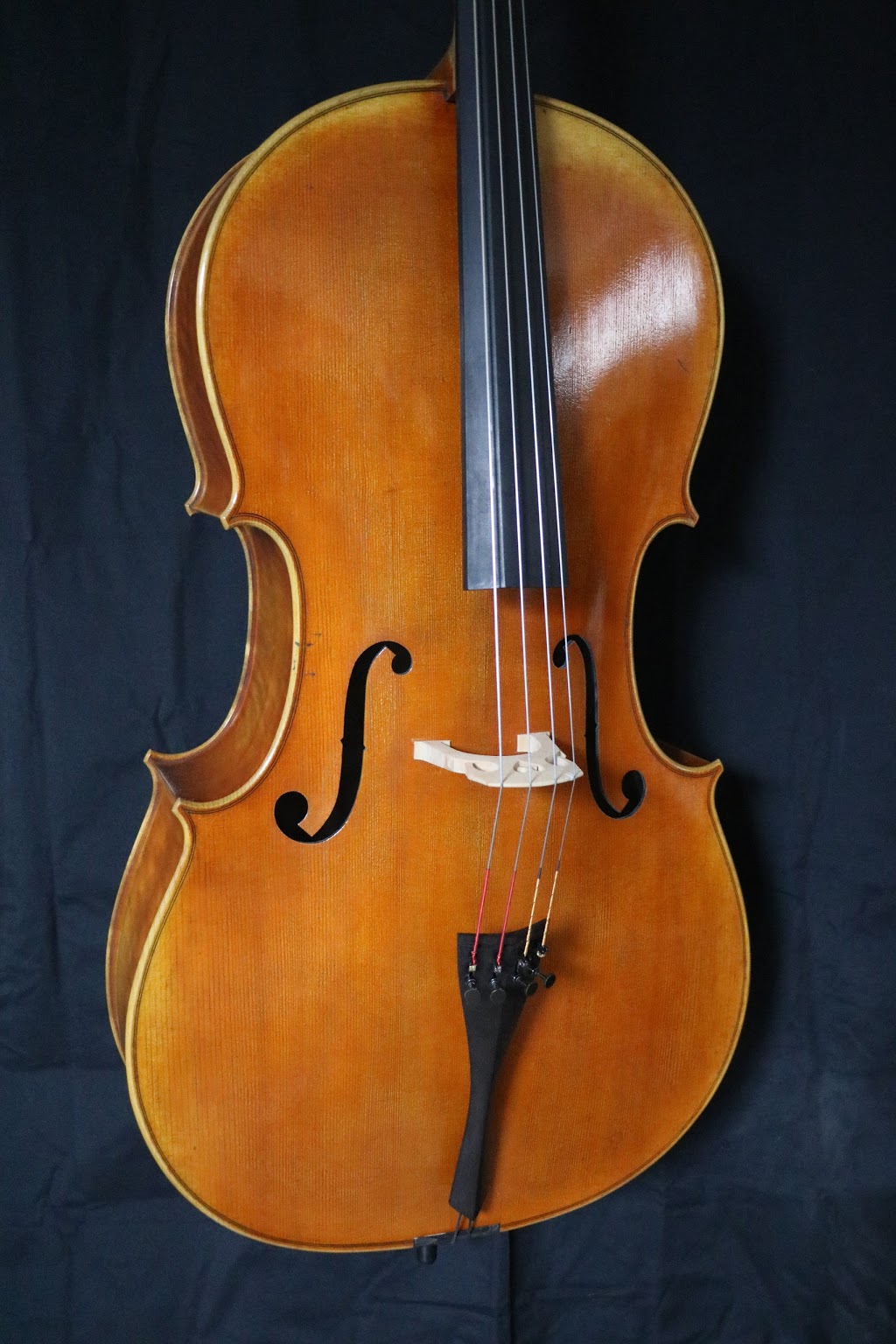 Ludovic Proulx Violons | 2708 Boulevard de la Concorde E b, Laval, QC H7E 2B4, Canada | Phone: (450) 490-6660