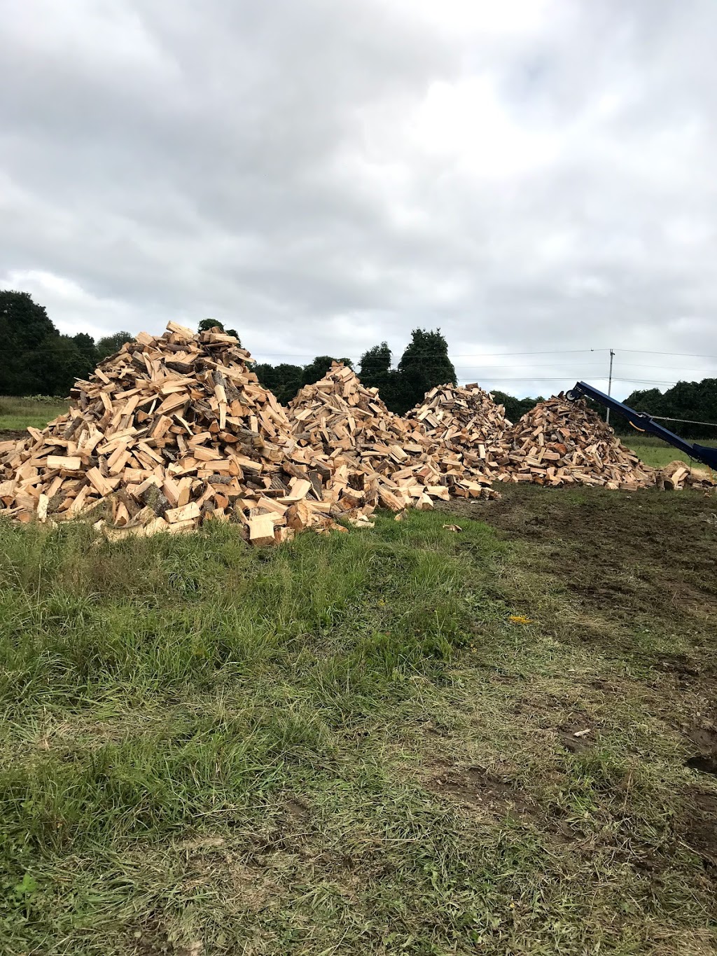Bretts Firewood And Snow Removal | 159 Coldwater Rd, Waubaushene, ON L0K 2C0, Canada | Phone: (705) 510-0080