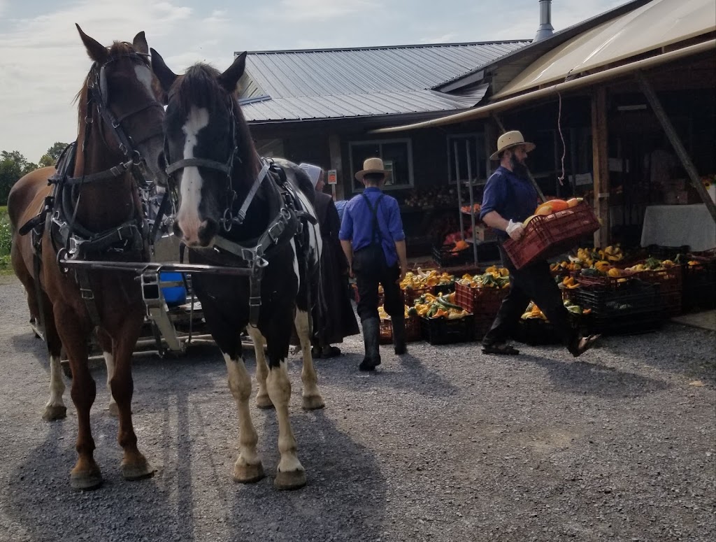 Farm Fresh Produce | 5653 ON-60, Douglas, ON K0J 1S0, Canada | Phone: (647) 821-7883