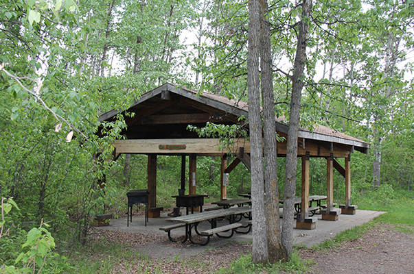 Strathcona Wilderness Centre | 52535 Range Rd 212, Ardrossan, AB T8G 2E9, Canada | Phone: (780) 922-3939