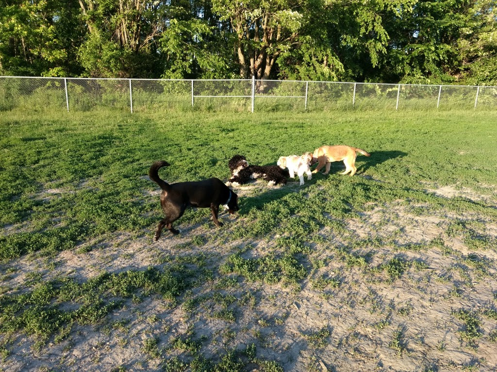 Carolines Dog Training | Barrhaven, Ottawa, ON K2J 3V2, Canada | Phone: (343) 540-9973