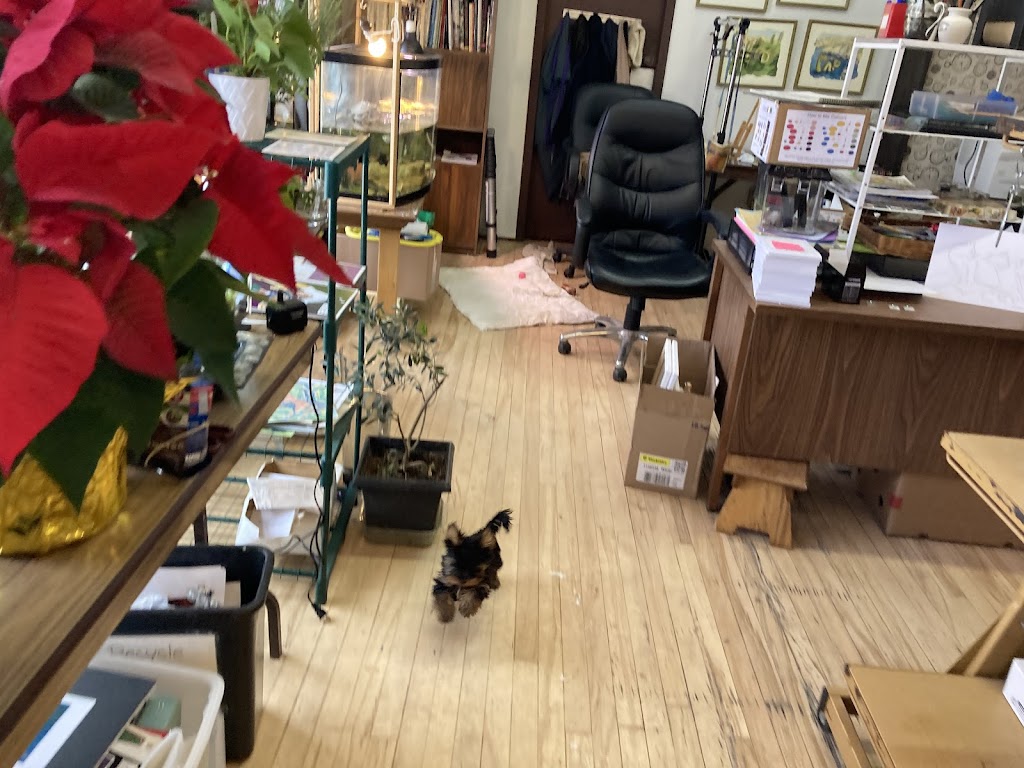 Curvey Lines Art School and Print Shop | 817 3rd Ave E, Owen Sound, ON N4K 2K6, Canada | Phone: (519) 375-7678