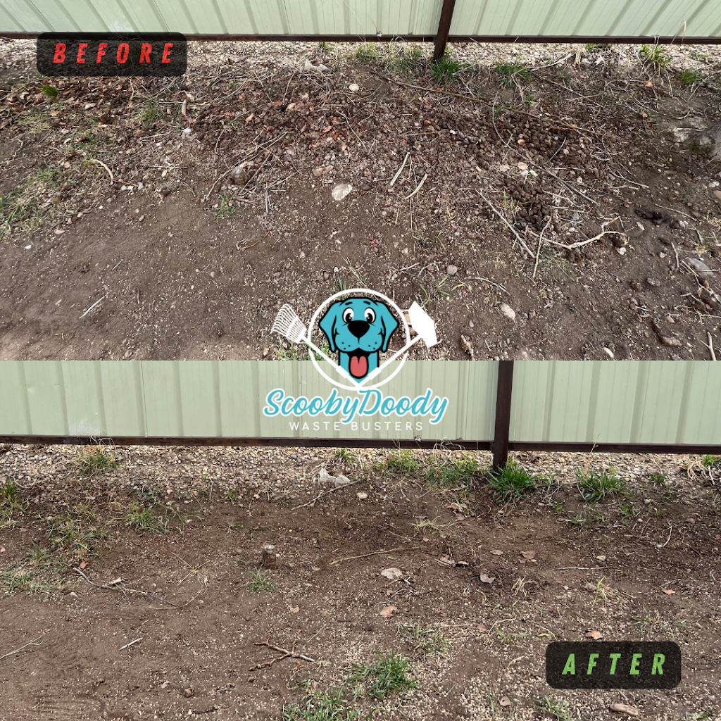 ScoobyDoody Waste Busters | 916 Cassils Rd W, Brooks, AB T1R 0E3, Canada | Phone: (403) 502-1523