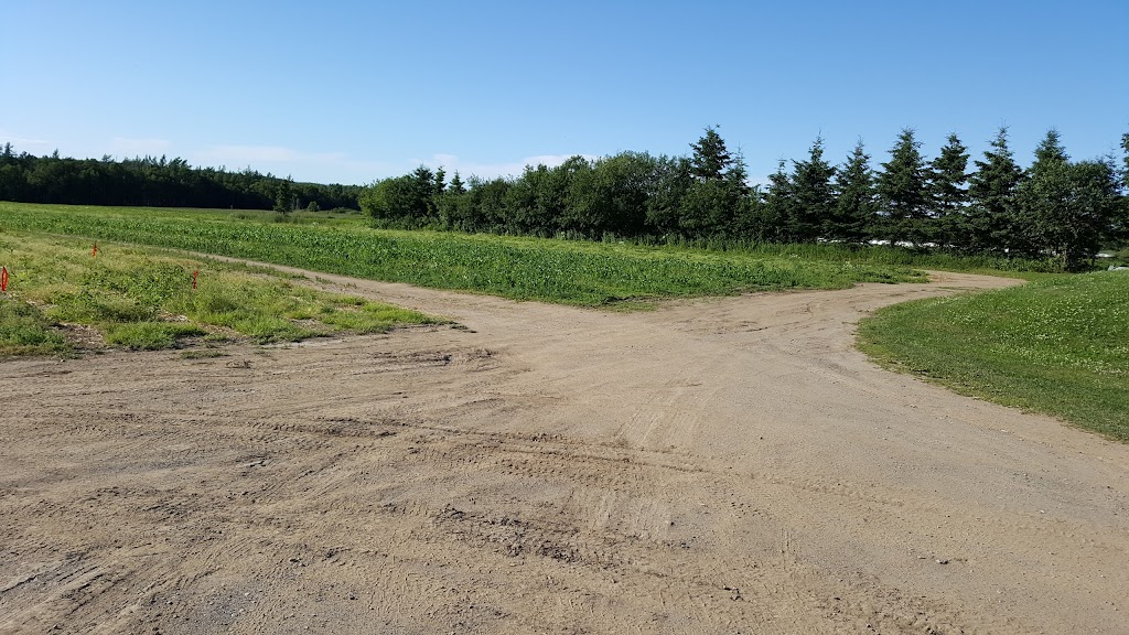 Fraisière Belzile | 19 Rte Principale, Saint-Arsène, QC G0L 2K0, Canada | Phone: (418) 862-6183