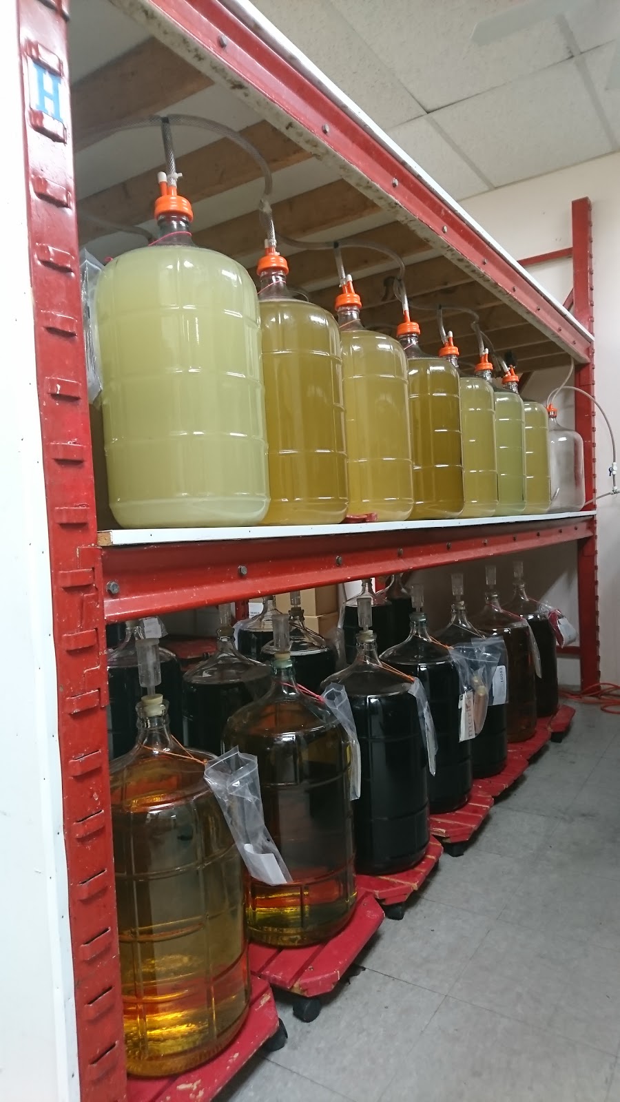 Pure Brew | 111-2208 St Joseph Blvd, Orléans, ON K1C 1E8, Canada | Phone: (613) 841-8370