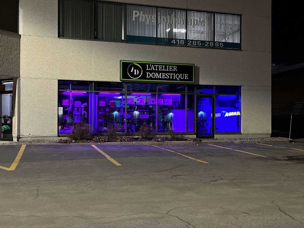 Atelier Domestique / Aspirateur RG | 636 Av. Jacques-Cartier, Donnacona, QC G3M 2G2, Canada | Phone: (418) 285-2552