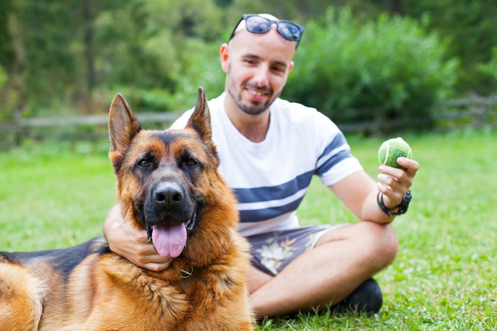 Montreal Dog Training | 1912 Rue de Ville-Marie, Montréal, QC H1V 3K3, Canada | Phone: (514) 941-2178