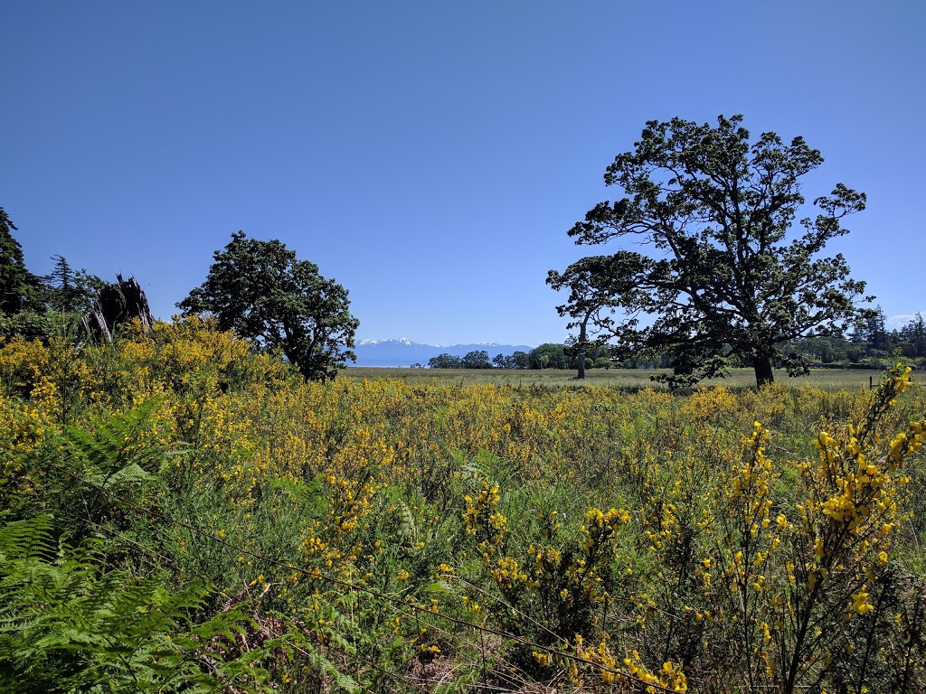 Devonian Regional Park - Main Parking Lot | 4749 William Head Rd, Victoria, BC V9C 3Y7, Canada