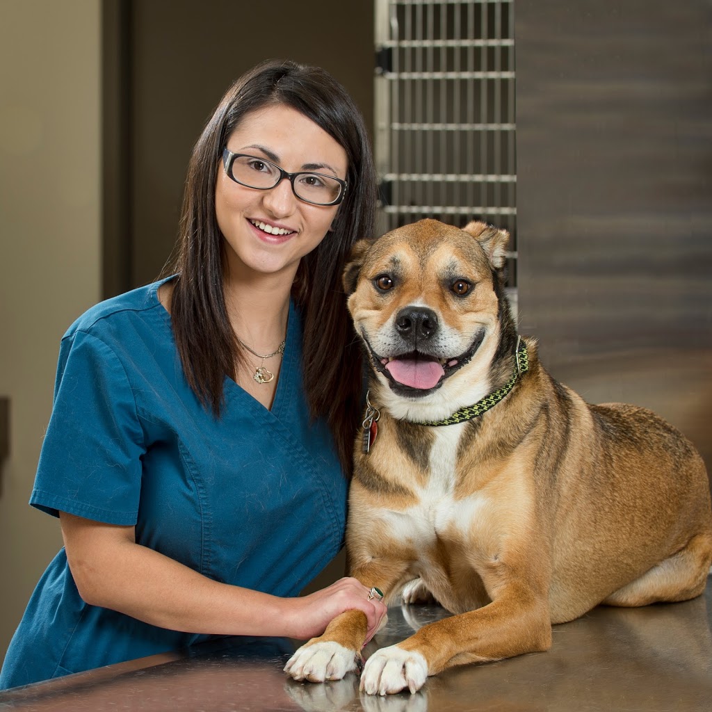 Sage Creek Animal Hospital | 50 Sage Creek Blvd #102, Winnipeg, MB R3X 0J6, Canada | Phone: (204) 255-1150