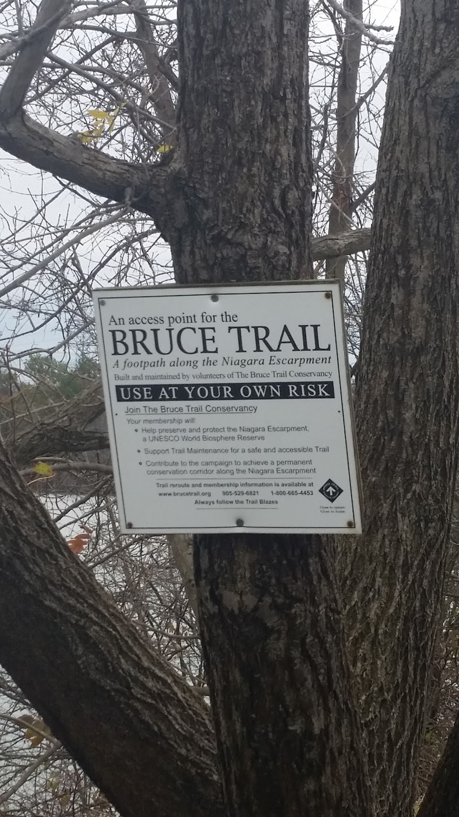 Bruce Trail | Unnamed Road, Fonthill, ON L0S 1E6, Canada