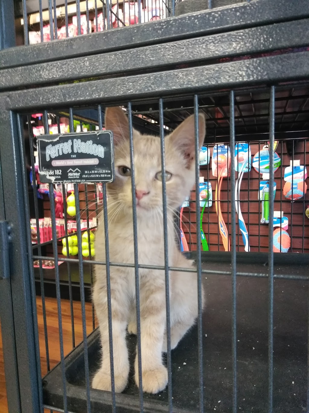 Pet Valu | 1015 Bronte St S, Milton, ON L9T 8X3, Canada | Phone: (905) 636-7774