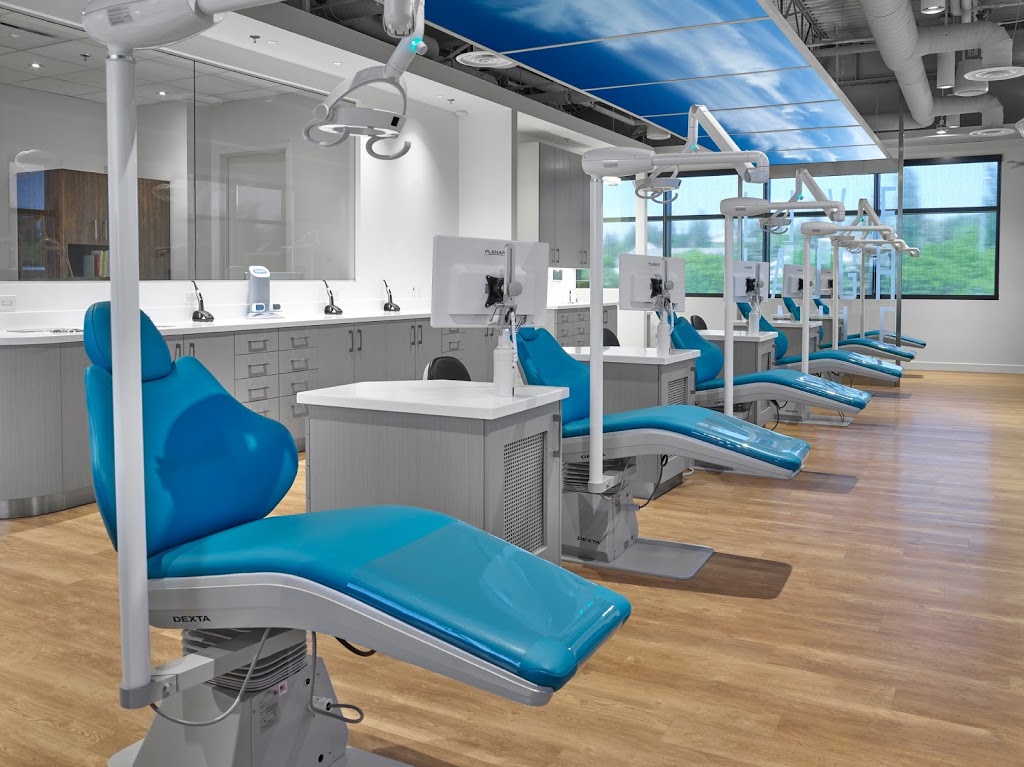 Verve Orthodontics | 150 Bellerose Dr Suite 209, St. Albert, AB T8N 8N8, Canada | Phone: (780) 458-3783