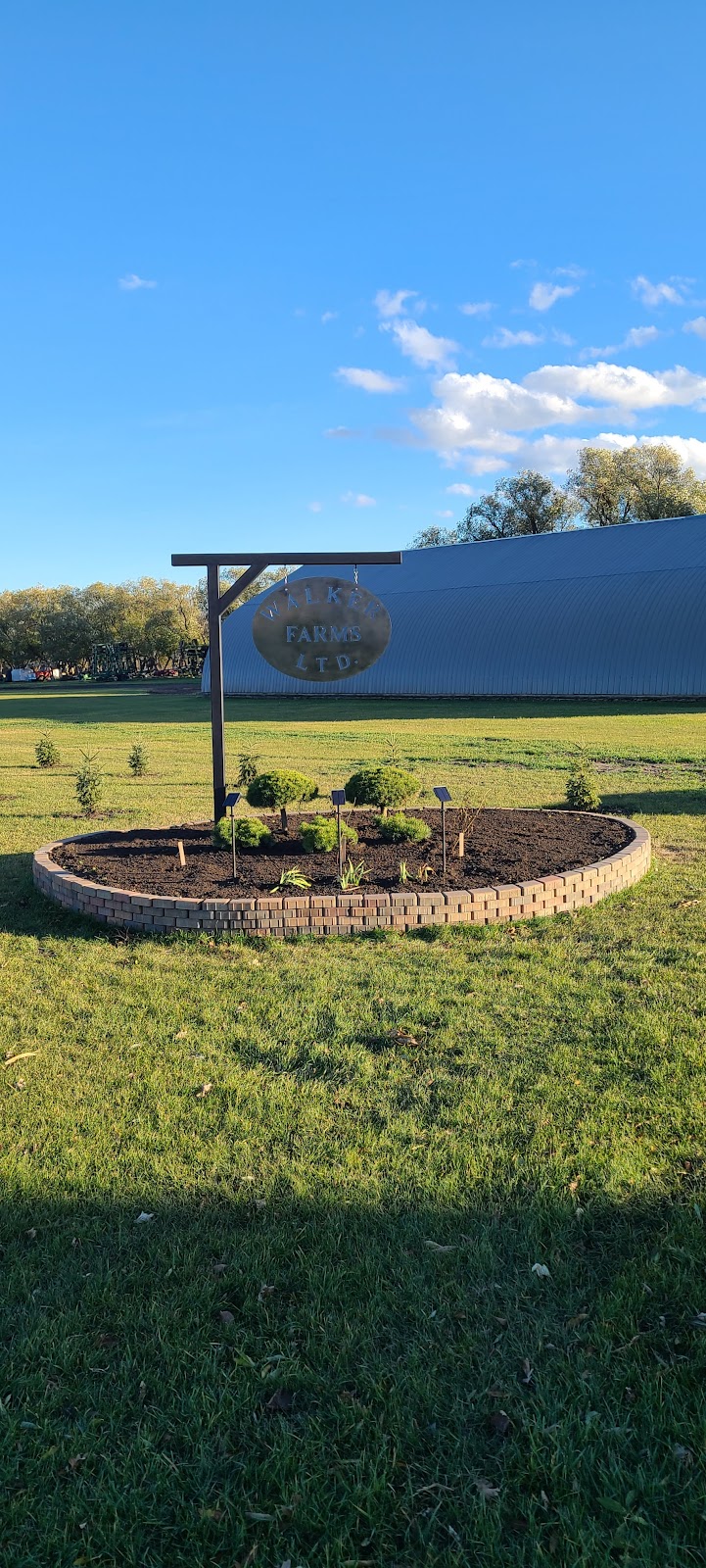 Walker Farms LTD. | 23070, RD 35N SE-30-6-4W, Carman, MB R0G 0J0, Canada | Phone: (204) 750-1841