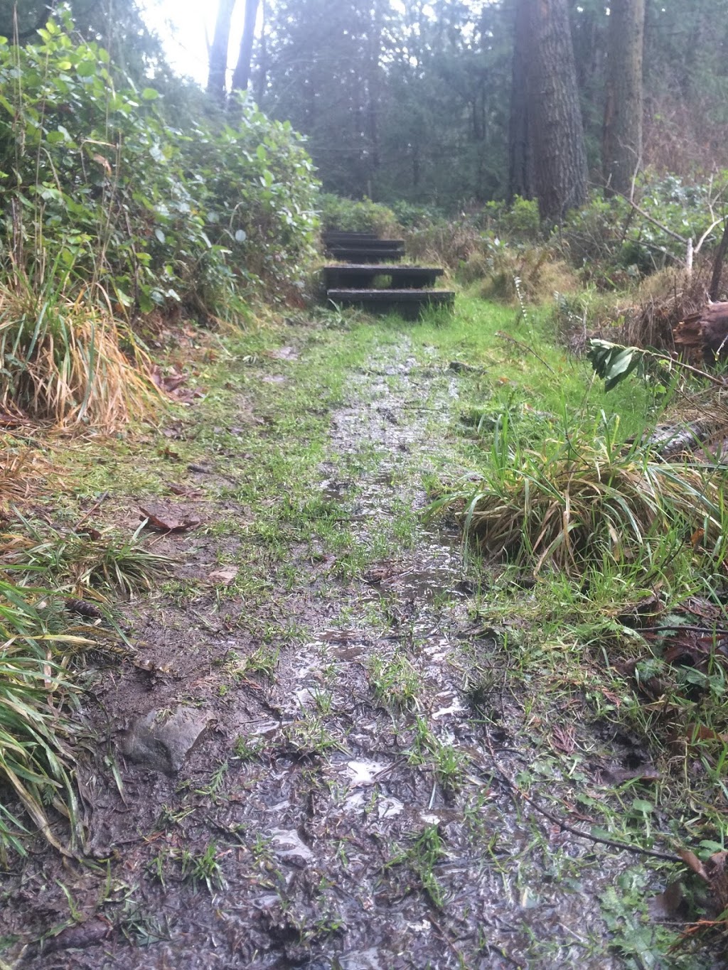 Capstan Lane Park | Pender Island, BC V0N 2M2, Canada