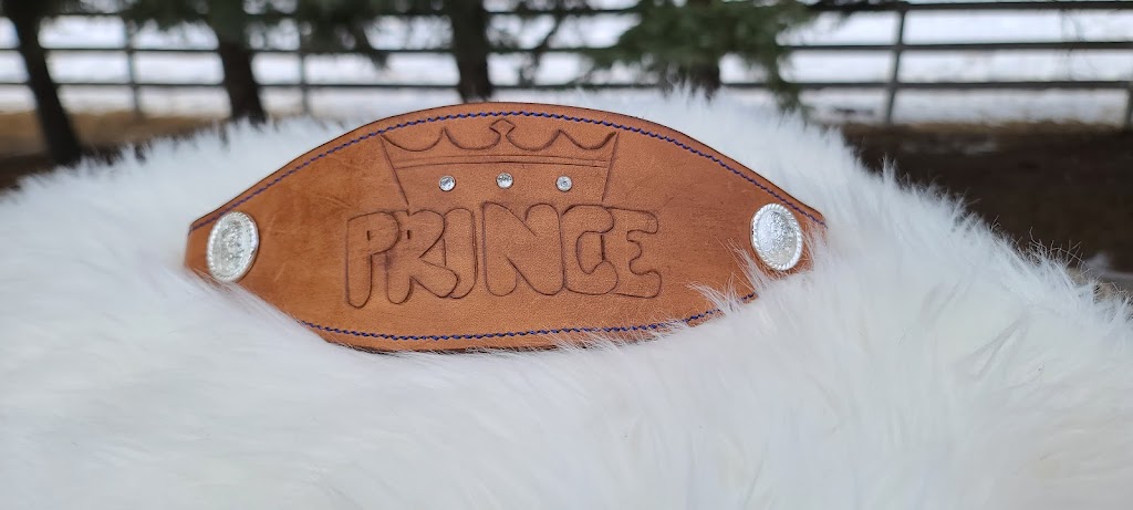 Paisley Leather Co | Range Rd 52, Mountain View County, AB T0M 1C0, Canada | Phone: (604) 854-0509