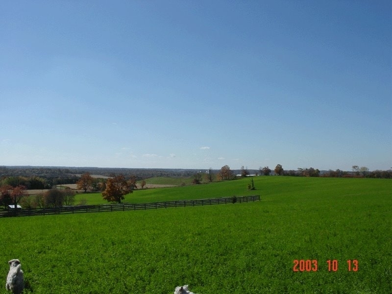 Waymark Farms Ltd | 867733 Township Rd 10, Bright, ON N0J 1B0, Canada | Phone: (519) 632-7355