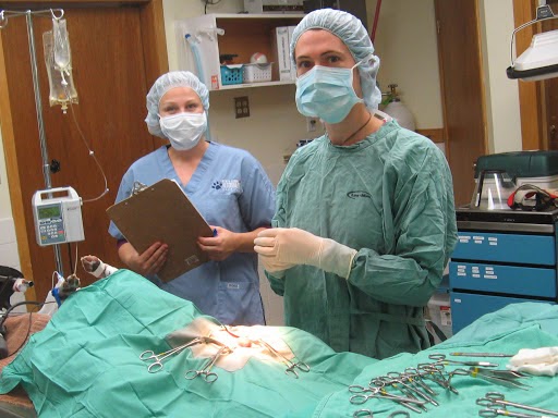 North Town Veterinary Hospital | 496 Main St N, Brampton, ON L6V 1P9, Canada | Phone: (905) 451-2000