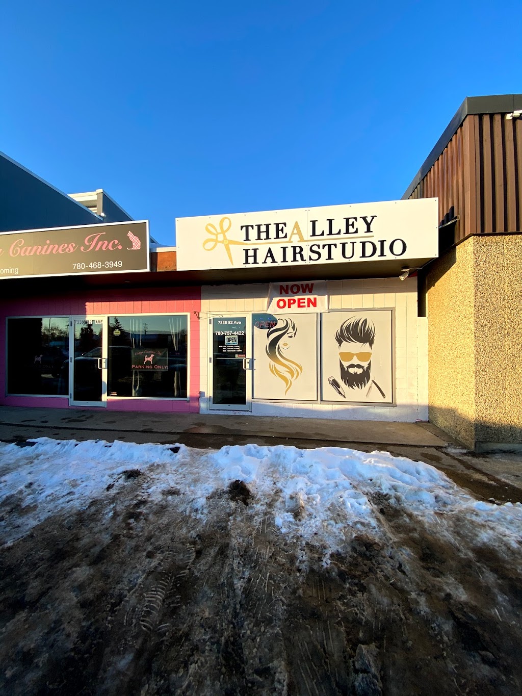The Alley Hair Studio | 7336 82 Ave NW, Edmonton, AB T6B 0G2, Canada | Phone: (780) 757-4422