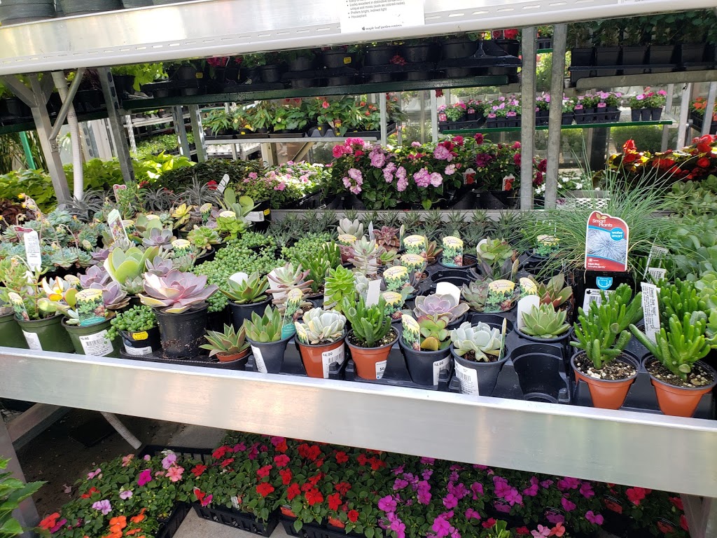 Maple Leaf Garden Centre | 1343 Lynn Valley Rd, North Vancouver, BC V7J 2A5, Canada | Phone: (604) 985-1784